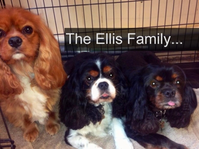 The Ellis Family